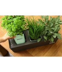 GREENBAR® Ersatzvlies, 3er-Pack 16 GREENBAR® Ersatzvlies, 3er-Pack -Gartenbedarf Verkäufe 2024 20150713 338 greenbar steps 4 studio herzig 1