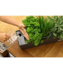 GREENBAR® Ersatzvlies, 3er-Pack 17 GREENBAR® Ersatzvlies, 3er-Pack -Gartenbedarf Verkäufe 2024 20150713 347 greenbar steps 5 studio herzig 1