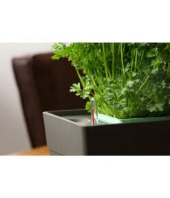 GREENBAR® Kräuterkasten, Ca. B48/H15,5/T16 Cm 20 GREENBAR® Kräuterkasten, Ca. B48/H15,5/T16 Cm -Gartenbedarf Verkäufe 2024 20150713 350 greenbar fuellanzeiger studio herzig