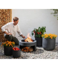 Goldmarie, Orange 11 Goldmarie, Orange -Gartenbedarf Verkäufe 2024 20210610 8810020 8832966 WE MO 001 BidensOrangeT12 GC09 2022 02