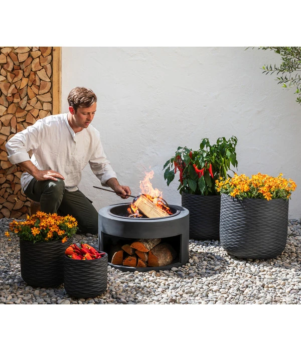 Goldmarie, Orange 6 Goldmarie, Orange – Bild 4