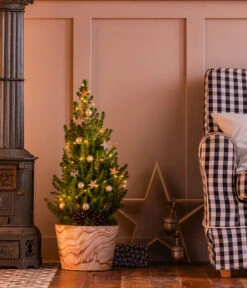 Geschmückter Weihnachtsbaum Loxley, Mit Lichterkette, Ca. H70 Cm -Gartenbedarf Verkäufe 2024 20220120 6202071 6202048 WE MO 001 WeihnachtsBaumLoxley28cmLED