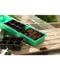 Dehner Zimmergewächshaus Frans, 54 X 15 X 12 Cm 7 Dehner Zimmergewächshaus Frans, 54 X 15 X 12 Cm -Gartenbedarf Verkäufe 2024 207456 BildM 001 RombergZimmergewaechshausFransFensterbGewH54X15x12