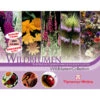 Thompson & Morgan Samen 'Wildblumen-Collection' -Gartenbedarf Verkäufe 2024 2531705 WE FS 001 ThompsonMorganWildblumenCollection