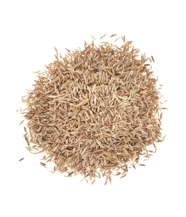 Wolf-Garten Wolf Saatgut Strapazier-Rasen 4 Wolf-Garten Wolf Saatgut Strapazier-Rasen – Bild 2