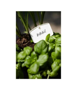 Elho Pflanz-Stift, 5 Stück -Gartenbedarf Verkäufe 2024 3266806 MO FS 001 PflanzstiftMweissElhoEtikett