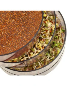 Dehner Sprossenhaus, 4 Schalen 8 Dehner Sprossenhaus, 4 Schalen -Gartenbedarf Verkäufe 2024 3677101 WE MO 002 DehnerSprossenhausKeimsprossen