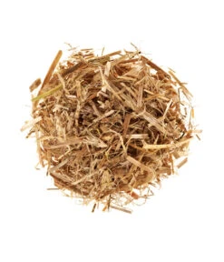 Pilzmännchen Bio Pilzzuchtset Austernpilz 6 Pilzmännchen Bio Pilzzuchtset Austernpilz -Gartenbedarf Verkäufe 2024 3940285 BildD 001 PilzmaennchenBioHomePilzzuchtsetAusternpilzPilzbrutAusternpilzSet