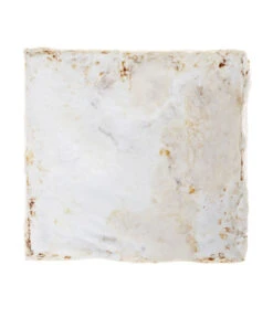 Pilzmännchen Bio Pilzzuchtset Austernpilz 7 Pilzmännchen Bio Pilzzuchtset Austernpilz -Gartenbedarf Verkäufe 2024 3940285 BildD 002 PilzmaennchenBioHomePilzzuchtsetAusternpilzPilzbrutAusternpilzSet