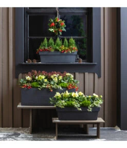 Efeu, Verschiedene Sorten -Gartenbedarf Verkäufe 2024 3940764 PR MO 001 KunststoffKastenKubus