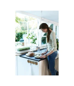 Elho Anzuchthaube L 7 Elho Anzuchthaube L -Gartenbedarf Verkäufe 2024 4026704 WE MO 001 AnzuchthausLTransparentElho