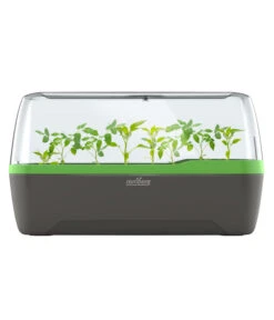 Romberg BoQube Gewächshaus -Gartenbedarf Verkäufe 2024 4299970 WE FS 005 RombergGewaechshausZimmergewaechshausAnzucht