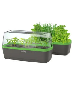 Romberg BoQube Gewächshaus -Gartenbedarf Verkäufe 2024 4299970 WE FS 006 BoQubeGewaechshausZimmergewaechshaus