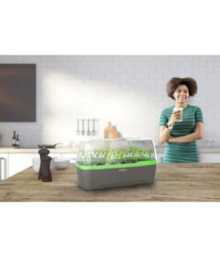 Romberg BoQube Gewächshaus -Gartenbedarf Verkäufe 2024 4299970 WE MO 001 RombergGewaechshausZimmergewaechshausAnzucht