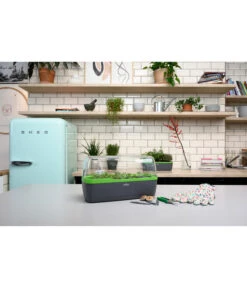 Romberg BoQube Gewächshaus -Gartenbedarf Verkäufe 2024 4299970 WE MO 002 BoQubeGewaechshausZimmergewaechshaus