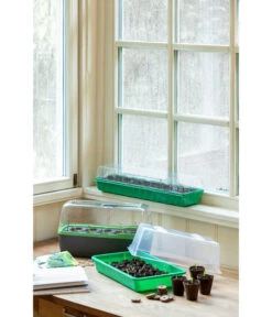 Romberg Zimmergewächshaus 7 Romberg Zimmergewächshaus -Gartenbedarf Verkäufe 2024 4299970 WE MO 004 BoQubeZimmergewaechshaus