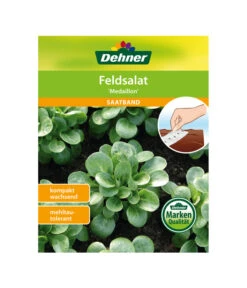 Dehner Samen-Set Easy Going 24 Dehner Samen-Set Easy Going -Gartenbedarf Verkäufe 2024 4322590 WE FS 005 DehnerSamenSaatgutSaemereienSetEasyGoing