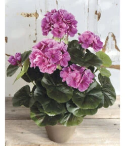 Kunstpflanze Geranie -Gartenbedarf Verkäufe 2024 4463345 WE MO 001 Geranie33cmLila