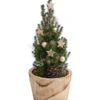Geschmückter Weihnachtsbaum Loxley -Gartenbedarf Verkäufe 2024 6202030 WE FS 001 WeihnachtsbaeumchenLoxley20cm
