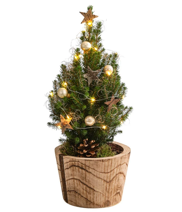 Geschmückter Weihnachtsbaum Loxley, Mit Lichterkette, Ca. H45 Cm 3 Geschmückter Weihnachtsbaum Loxley, Mit Lichterkette, Ca. H45 Cm