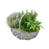 Bepflanzter Korb Mit Kräutern, 30 Cm 2 Bepflanzter Korb Mit Kräutern, 30 Cm -Gartenbedarf Verkäufe 2024 6232771 PR FS 008 KraeuterkorbGrill30cm4Kraeuter