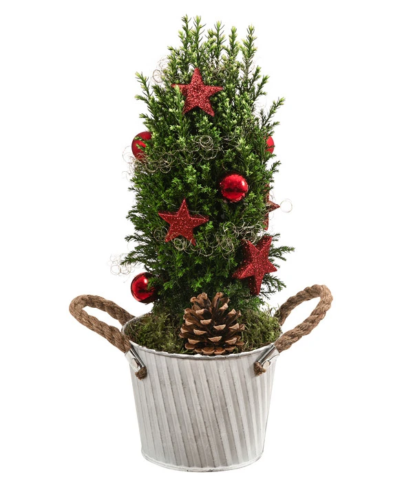 Geschmückter Weihnachtsbaum Linus 3 Geschmückter Weihnachtsbaum Linus