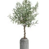 Olive, Stamm, In Keramik, Ca. Ø17/H90 Cm -Gartenbedarf Verkäufe 2024 6267546 WE FS 001 OleaEurop Stamm90cmGrau