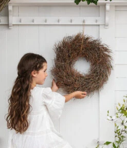 Dehner Kranz Spinosa, Ca. Ø36 Cm -Gartenbedarf Verkäufe 2024 6279889 WE MO 001 KranzSpinosaKranzDesMonats