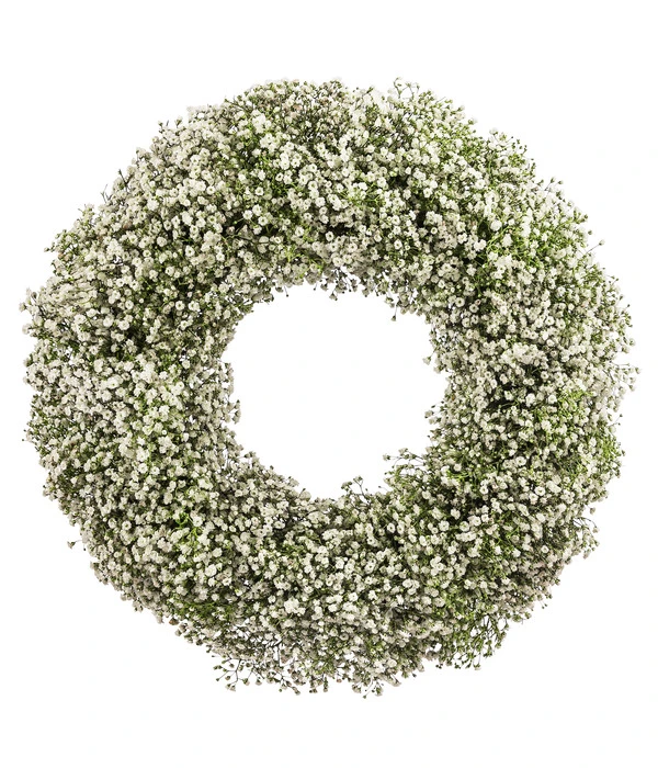 Dehner Kranz Schleierkraut, Weiß, Ca. Ø36 Cm 3 Dehner Kranz Schleierkraut, Weiß, Ca. Ø36 Cm