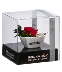 Dehner Herzschale Mit Longlife-Rose Aneta, Ca. B8/H5 Cm -Gartenbedarf Verkäufe 2024 6380919 WE FS 002 LLHerzAnetaROT