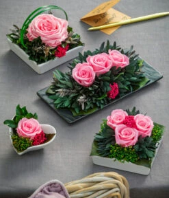 Dehner Keramik-Schale Mit Longlife-Rose Zina, Ca. B9,5/H6 Cm -Gartenbedarf Verkäufe 2024 6380927 6537641 6537716 6537708 WE MO 001 LonglifeArrangements