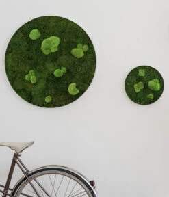 StyleGREEN Bild Aus Wald- Und Kugelmoos, Kreisförmig, Ca. Ø80 Cm -Gartenbedarf Verkäufe 2024 6429781 WE MO 001 Wald KugelmoosbildD80cm