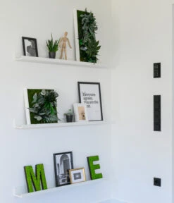 StyleGREEN Bild Im Dschungeldesign, Rechteckig, Ca. B57/H27/T16 Cm -Gartenbedarf Verkäufe 2024 6429930 WE MO 002 Pflanzenbild57x27cmStylegreen