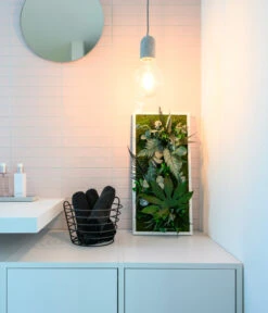 StyleGREEN Bild Im Dschungeldesign, Rechteckig, Ca. B57/H27/T16 Cm -Gartenbedarf Verkäufe 2024 6429930 WE MO 003 Pflanzenbild57x27cmStylegreen