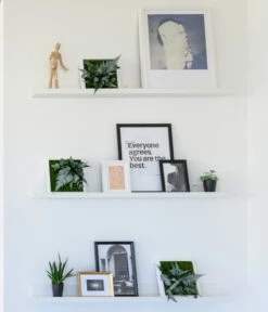 StyleGREEN Bild Im Dschungeldesign, Quadratisch, Ca. B22/H22/T16 Cm 6 StyleGREEN Bild Im Dschungeldesign, Quadratisch, Ca. B22/H22/T16 Cm -Gartenbedarf Verkäufe 2024 6429955 WE MO 001 Pflanzbild22x22cmStylegreen