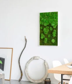 StyleGREEN Bild Aus Wald- Und Kugelmoos Im Verlauf, Ca. B100/H60/T7 Cm -Gartenbedarf Verkäufe 2024 6430631 WE MO 002 Wald Kugelmoosbild100x60cmStylegreen