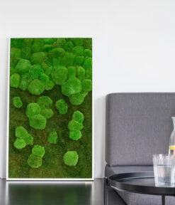 StyleGREEN Bild Aus Wald- Und Kugelmoos Im Verlauf, Ca. B100/H60/T7 Cm -Gartenbedarf Verkäufe 2024 6430631 WE MO 003 Wald Kugelmoosbild100x60cmStylegreen