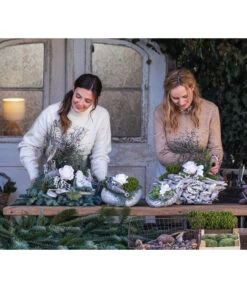 Grabgesteck Stille, Herzförmig, Ca. B25/H22/T25 Cm 10 Grabgesteck Stille, Herzförmig, Ca. B25/H22/T25 Cm -Gartenbedarf Verkäufe 2024 6462949 WE MO 002 SerieStillePremiumAllerheiligen2023