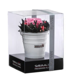 Dehner Arrangement Mit Longlife-Rose Ida, Rosa, Ca. Ø7,5/H15 Cm -Gartenbedarf Verkäufe 2024 6536858 WE FS 001 LLArrangIdaRosa