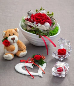 Dehner Kuschelbär Mit Longlife-Rose, Ca. B6/H10 Cm -Gartenbedarf Verkäufe 2024 6537732 8167041 6380935 6034458 WE MO 001 Longlife