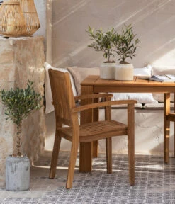 Olive, Stamm, In Keramik, Ca. Ø17/H90 Cm -Gartenbedarf Verkäufe 2024 6657415 WE MO 002 GruppeHavanna