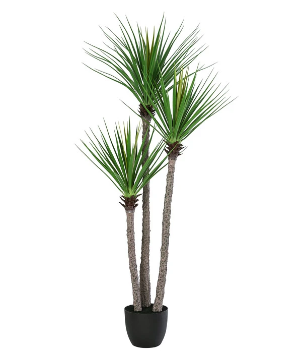 Dehner Kunstpflanze Yuccapalme 3 Dehner Kunstpflanze Yuccapalme