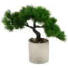 Dehner Kunstpflanze Bonsai, 27 Cm -Gartenbedarf Verkäufe 2024 6712426 WE FS 001 Bonsaigetopft27cm
