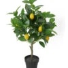 Dehner Kunstpflanze Zitronenbaum 1 Dehner Kunstpflanze Zitronenbaum -Gartenbedarf Verkäufe 2024 6713408 WE FS 001 KunstpflanzeZitronenbaumgetopft