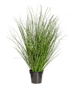 Gasper Kunstpflanze Grasbusch