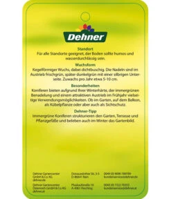 Korea-Tanne 'Molli' 13 Korea-Tanne 'Molli' -Gartenbedarf Verkäufe 2024 7001936 KoreatanneMolli Etikett 2