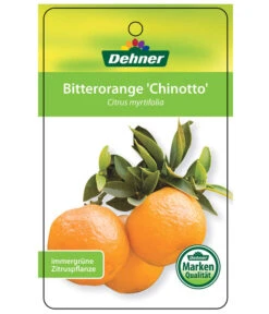 Bitterorange 'Chinotto' 10 Bitterorange 'Chinotto' -Gartenbedarf Verkäufe 2024 7119803 BitterorangeChinottoEtikett1