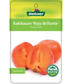 Dehner Kaki 'Rojo Brillante' - Kaki-Pflaume 'Rojo Brillante' 14 Dehner Kaki 'Rojo Brillante' - Kaki-Pflaume 'Rojo Brillante' -Gartenbedarf Verkäufe 2024 7167414 KakiRojoBrillante Etikett 01