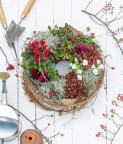 Rote Teppichbeere -Gartenbedarf Verkäufe 2024 7192941 WE MO 001 RoteTeppichbeereGaultheria