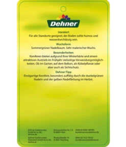 Japanische Lärche 9 Japanische Lärche -Gartenbedarf Verkäufe 2024 7261548 JapanischeLaerche Etikett 2